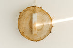 Umingmak (musk ox) Horn Bar Pendant