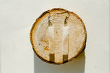 Umingmak (Musk ox) Horn Bar Earrings