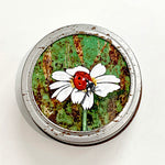 ‘Lii bibitte’ (The Ladybug)